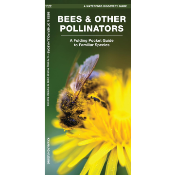 WP: BEES & OTHER POLLINATORS