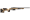 COYOTE